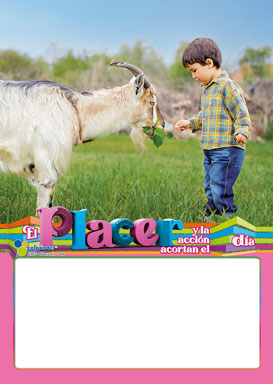 Almanaque Nueva Era Papel ¼ 